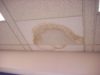 Water damaged ceiling tiles